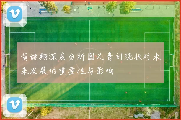 黄健翔深度分析国足青训现状对未来发展的重要性与影响