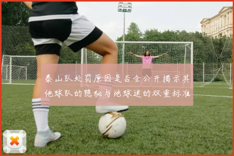 泰山队处罚原因是否会公开揭示其他球队的隐秘与地球迷的双重标准